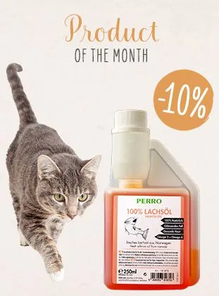 Produkt des Monats für Katzen, Sonderangebot