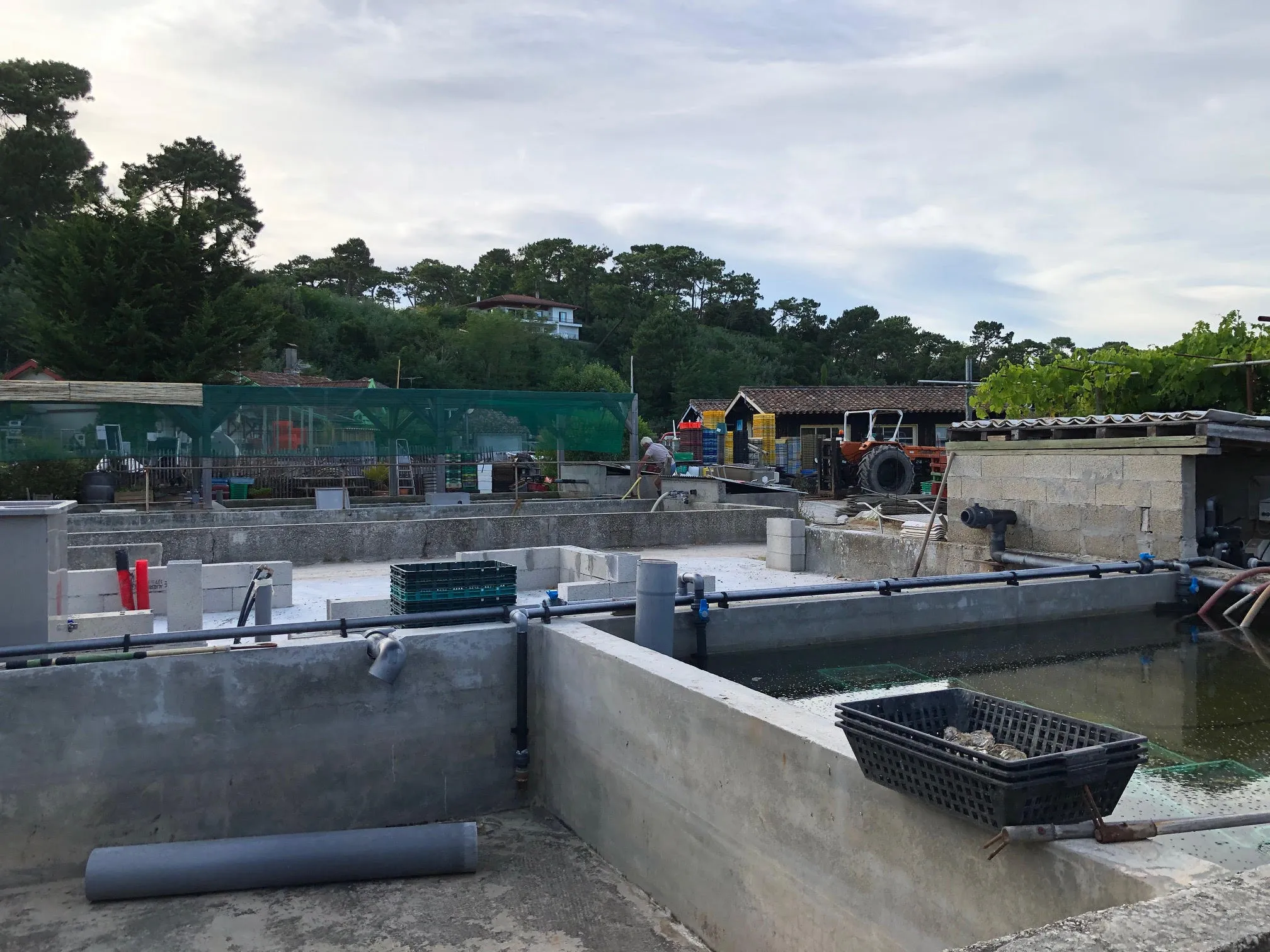 Produktion von Meeresfrüchten, ein Zeichen für Qualität und Handwerk, ähnlich der deutschen Bierbrauerei.