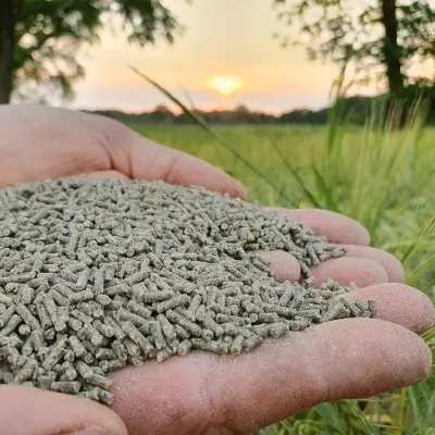 ProNatur Wachtelkorn (Bio) 10kg | WachtelGold®