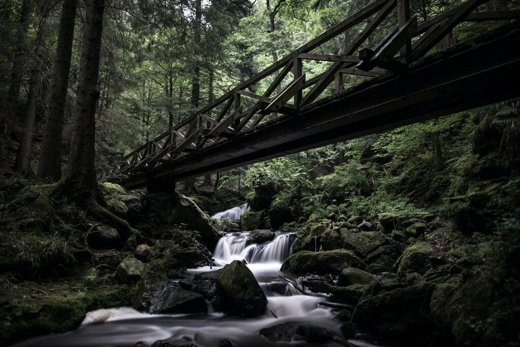 Ravennaschlucht im Schwarzwald mit einem Wanderweg entlang eines Baches