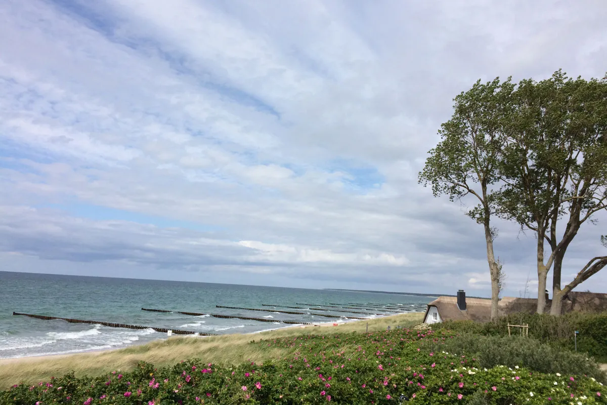 Reetdachhäuser und Künstlerateliers in Ahrenshoop