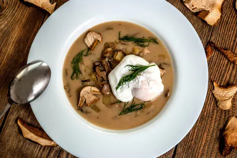 Regionale tschechische Kulajda Suppe mit Kartoffeln, Pilzen, Sahne und Dill