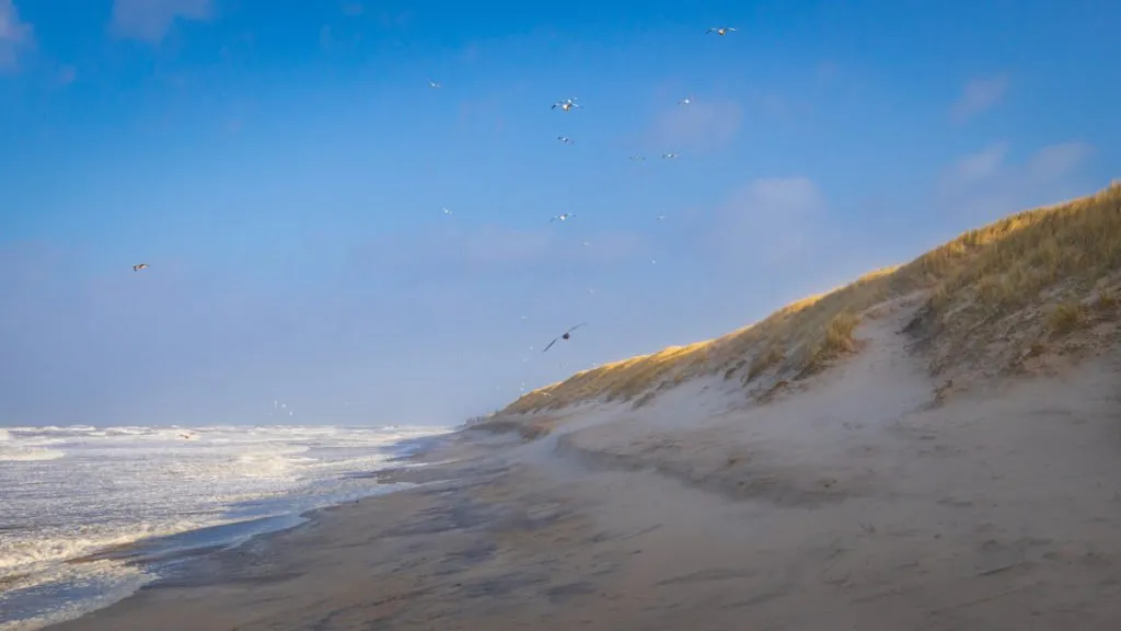 reisen norddeutschland reiseziel sylt strand