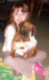 Rhodesian Ridgeback Welpe schaut neugierig in die Welt