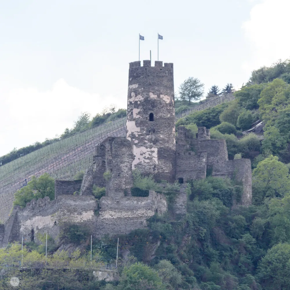 Riesling-Weinberge erstrecken sich malerisch hinter der Burgruine Fürstenberg