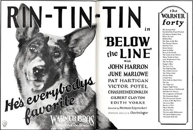 Rin Tin Tin, der legendäre Deutsche Schäferhund und Hollywood-Filmstar