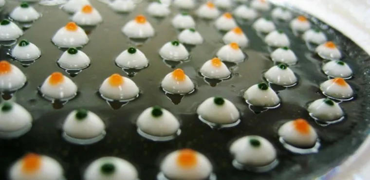 Robuchon’s dots