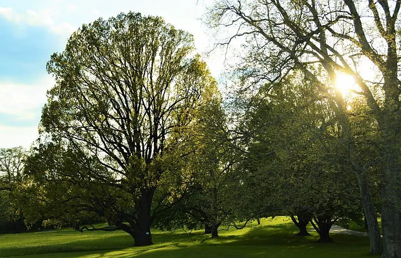 Rosensteinpark: Natur und Kultur für die ganze Familie
