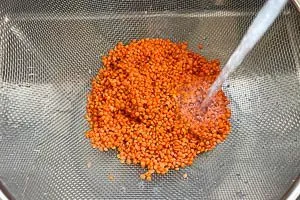 Rote Linsen werden in einem Sieb unter fließendem kalten Wasser gewaschen, ein wichtiger erster Schritt für unser rotes Linsen Rezept.