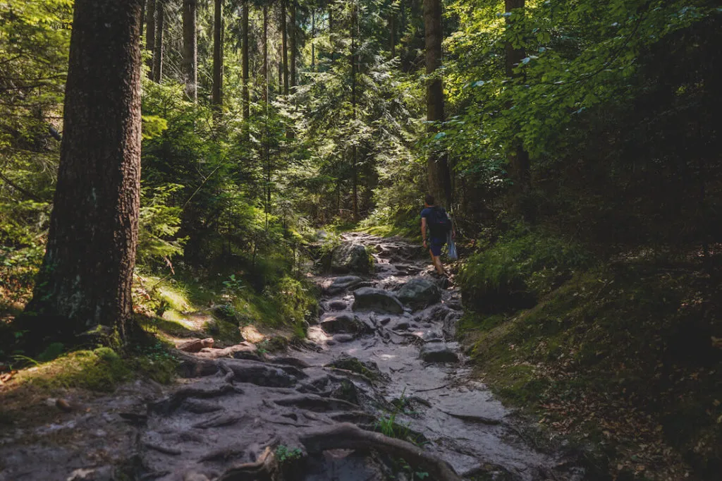 Sächsische Schweiz Wilde Hölle Wanderungen