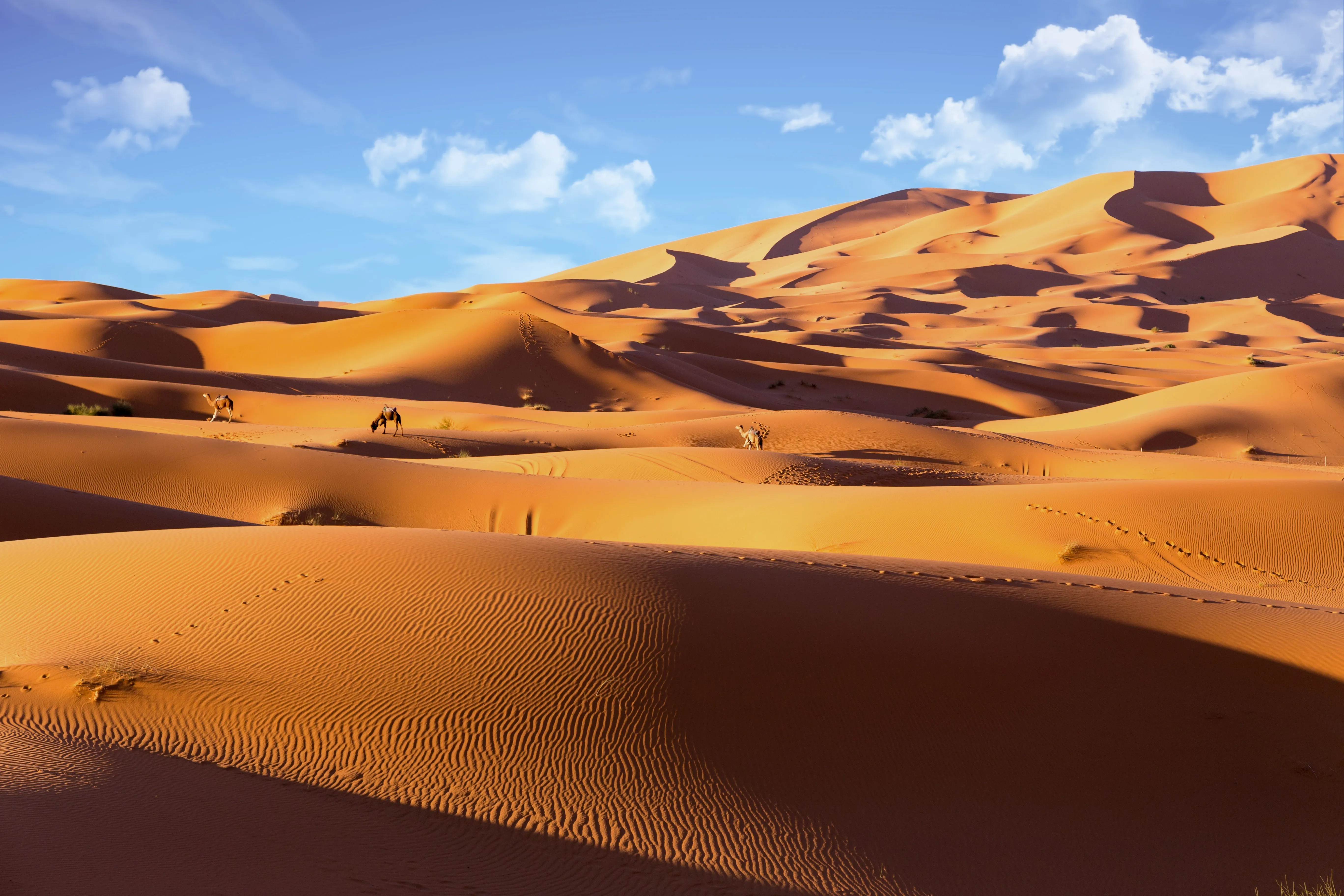 Sahara-Dünenlandschaft Erg Chebbi in Marokko