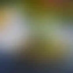 Salat mit Feta und Oliven in der Salem Seebar