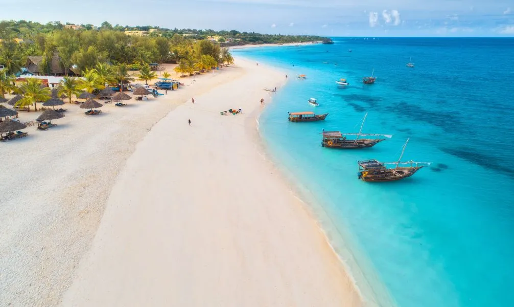 Sansibar: Mit Walhaien ins neue Jahr