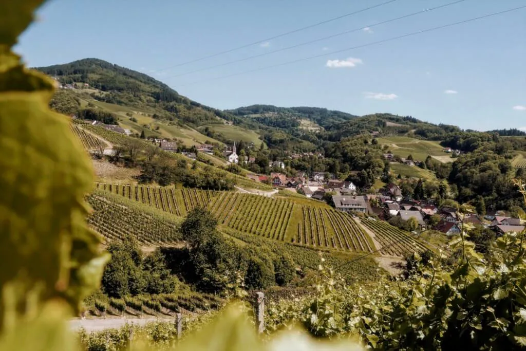 Sasbachwalden im Schwarzwald mit Fachwerkhäusern und Weinbergen