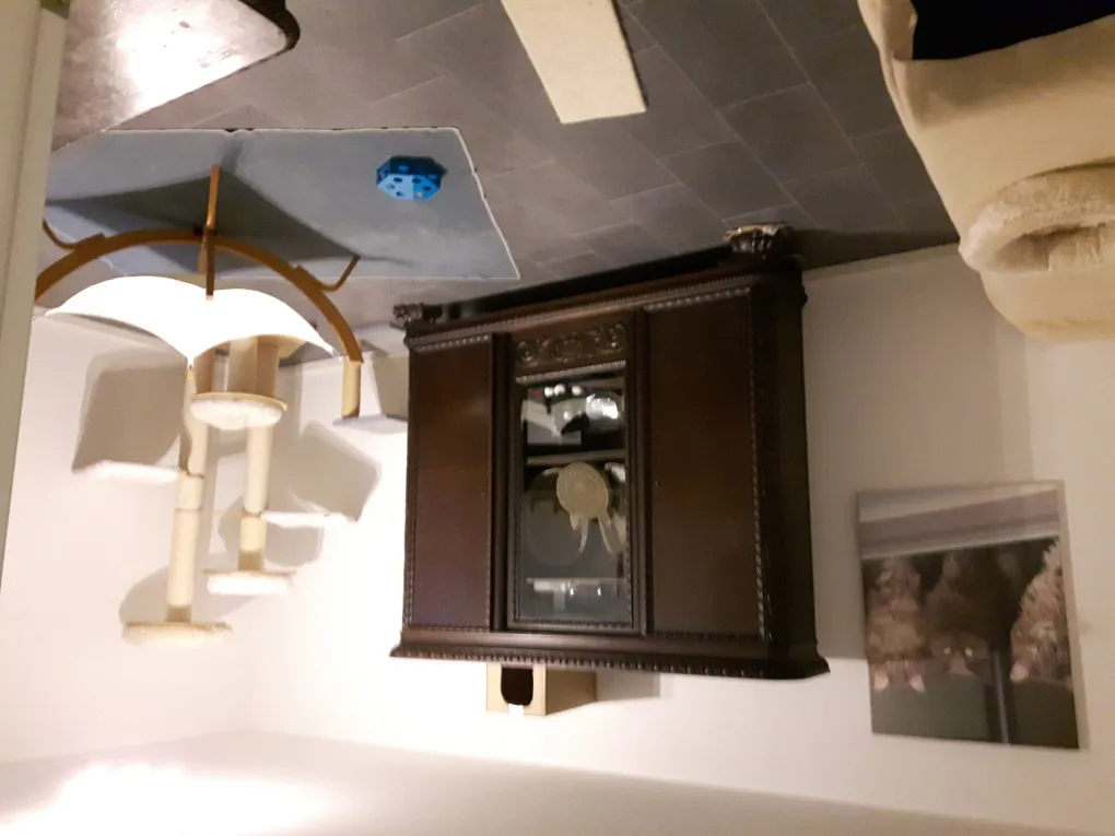 Sauberkeit im Katzenzimmer