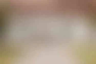 Schloss Wedendorf Hochzeitslocation Mecklenburg