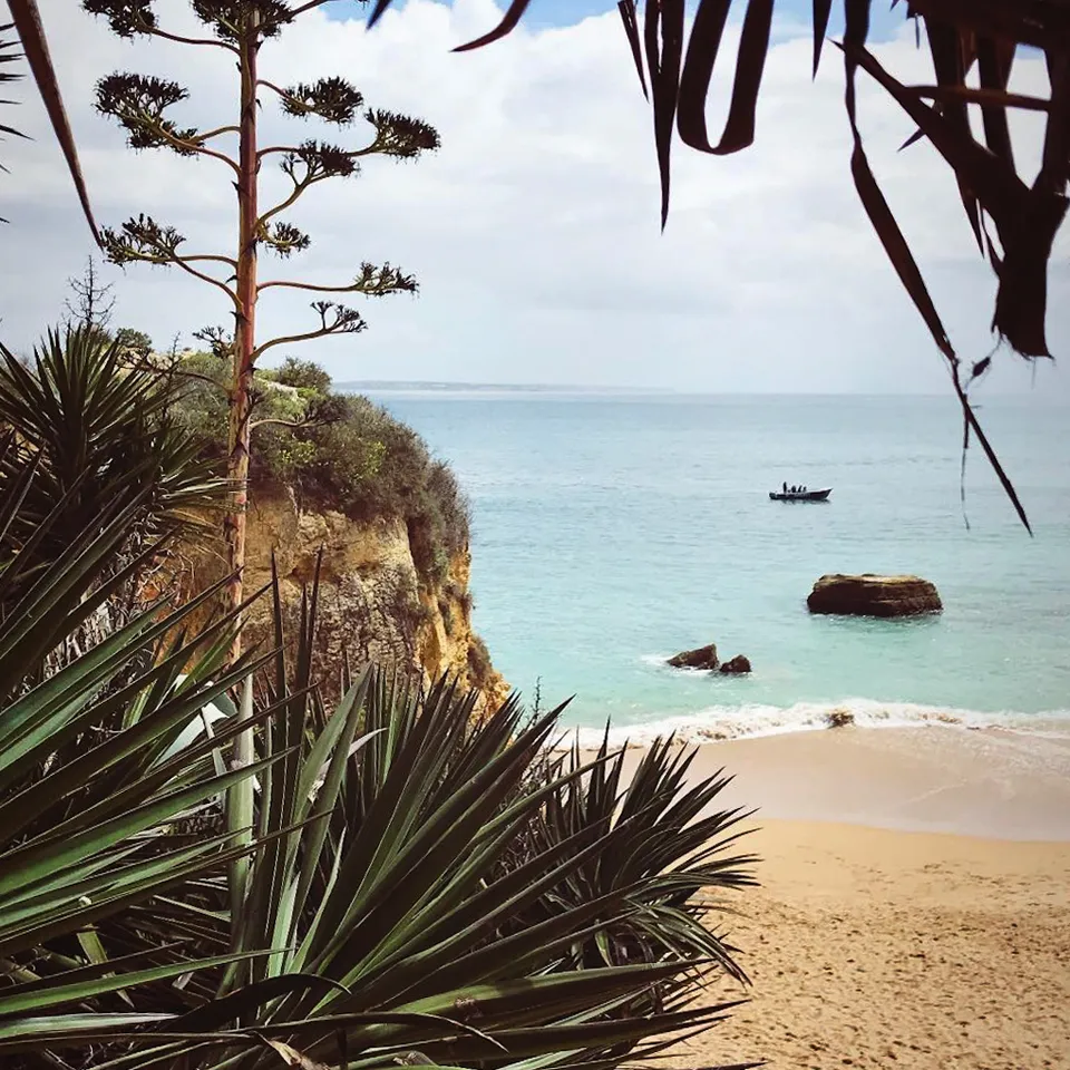 Schmale, gepflasterte Gasse mit historischen Gebäuden und einem Blumentopf vor einer Holztür, die ein malerisches Stadtbild zeigt