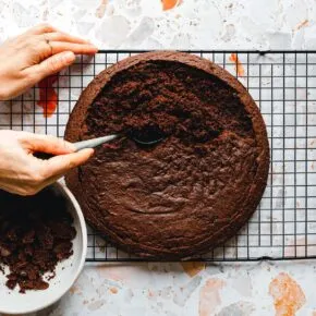 Schritt-für-Schritt-Anleitung für Maulwurfkuchen