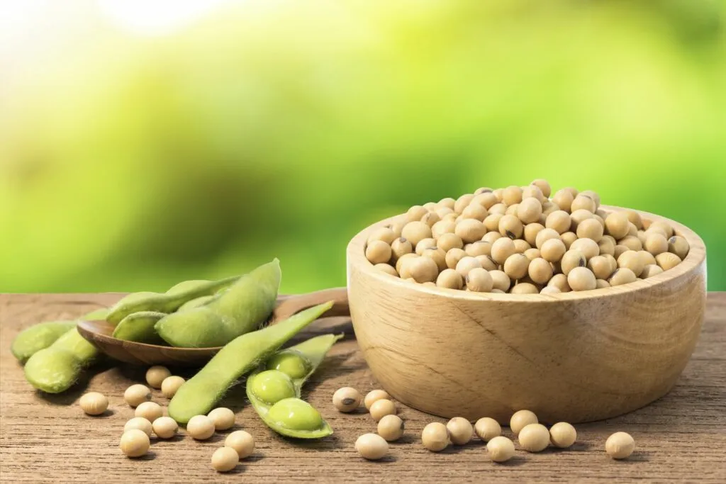 Schüssel mit Sojabohnen