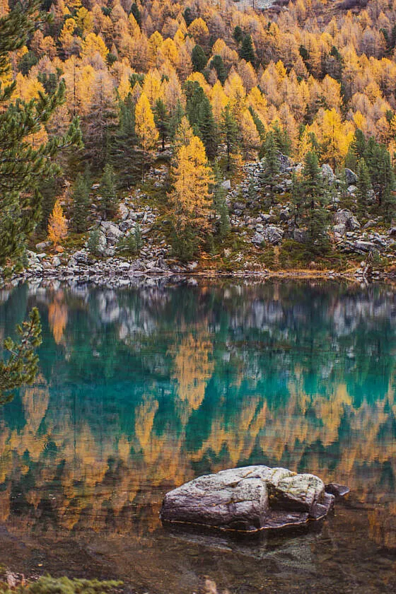 Schweiz im Herbst: Val da Camp mit bunten Herbstfarben