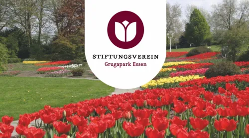 Screenshot einer Meldung des Stiftungsvereins Grugapark Essen e.V. über Parkaktionen.