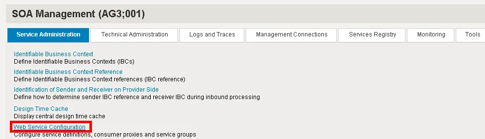 Screenshot: SAP SOAMANAGER Übersicht der Web Service Konfiguration