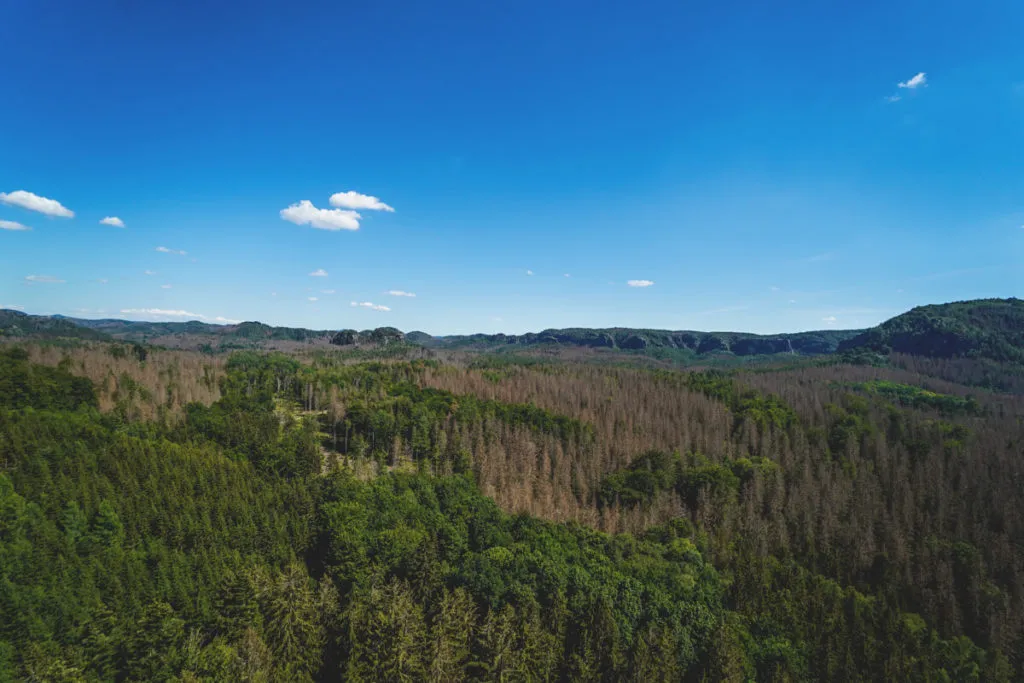 Sehenswürdigkeiten in der Sächsischen Schweiz Aussicht Kuhstall