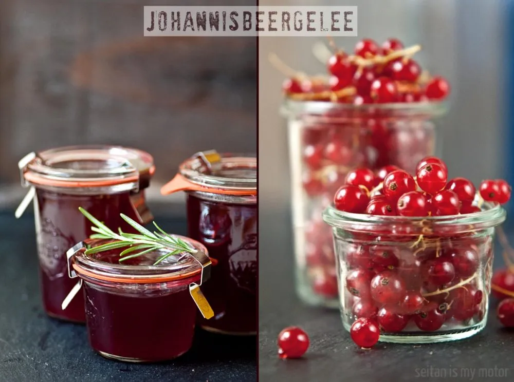 Selbstgemachtes Johannisbeergelee in einem Glas mit frischen roten Johannisbeeren und Rosmarin Zweig