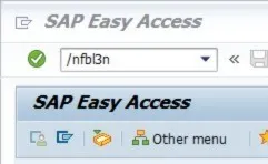 Selektionskriterien für die FBL3N-Einzelpostenanzeige in SAP