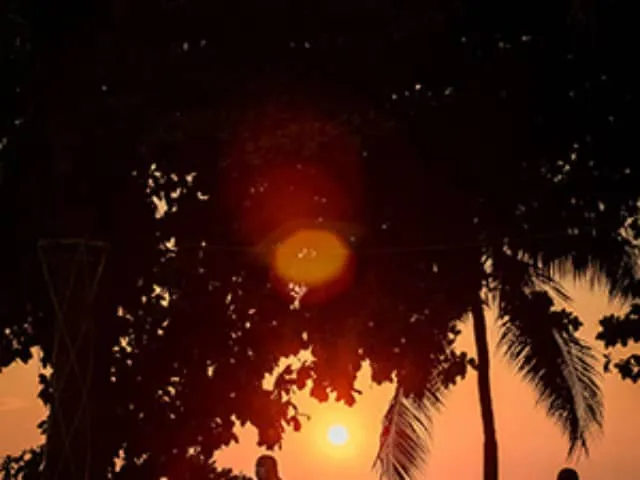 Senioren beim gemeinsamen Spaziergang in einer malerischen Landschaft