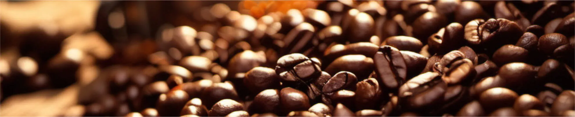 Severin Caprice Kaffeemaschine mit elegantem Edelstahl-Design