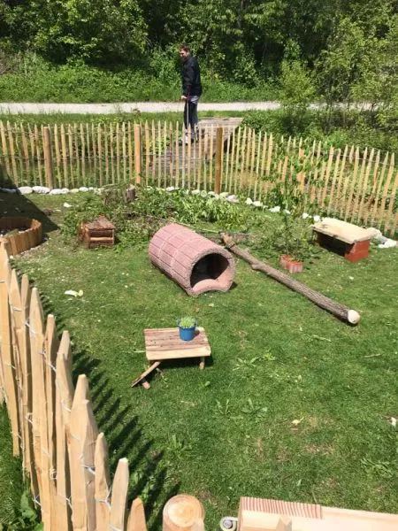 Sicherer Kaninchenfreilauf mit erhöhten Elementen und Verstecken, der die Umgebung für Hasen im Garten spannend gestaltet