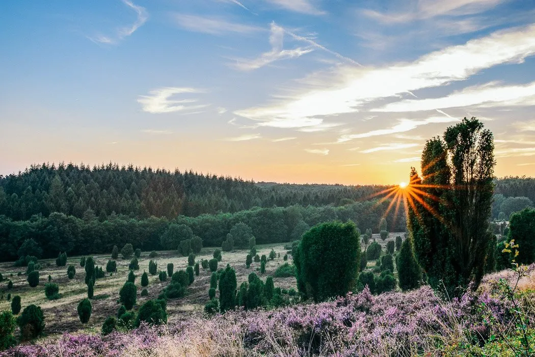 Sonnenuntergang am Steingrund
