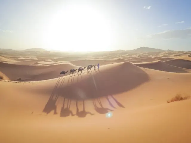 Sonnenuntergang in der Sahara, Marokko