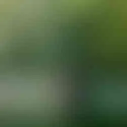 Sonniger Tag am See mit Bootsverleih