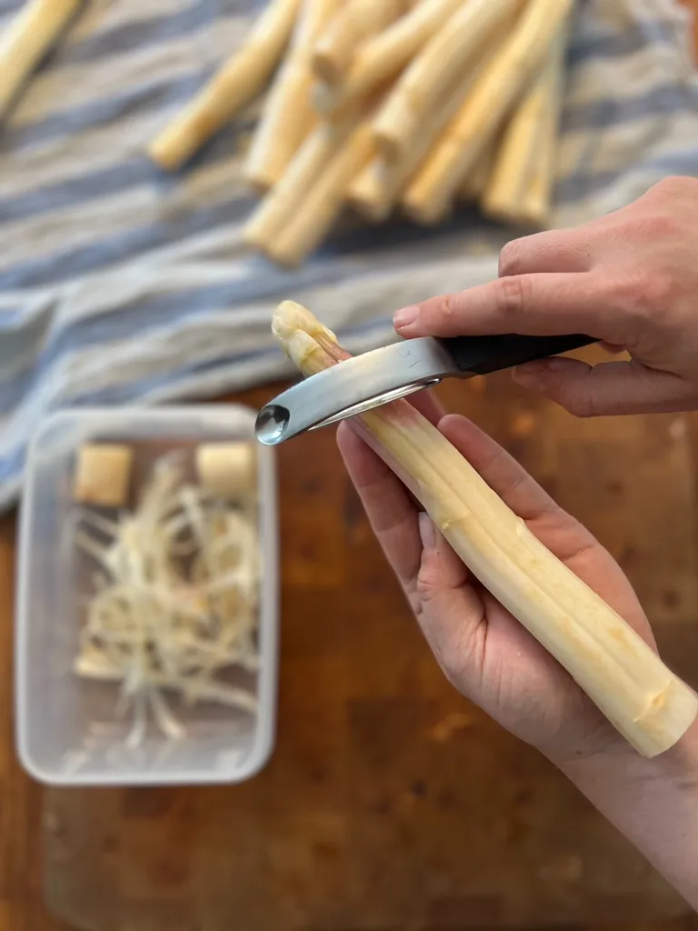 Spargel wird gehalten beim Schälen