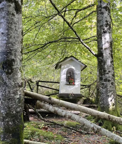 Spiegelung der Berge im klaren Wasser des Tegernsees
