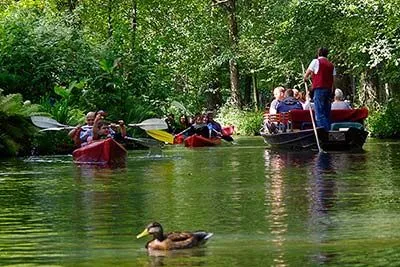 Spreewald-Familie beim Picknick am Wasser