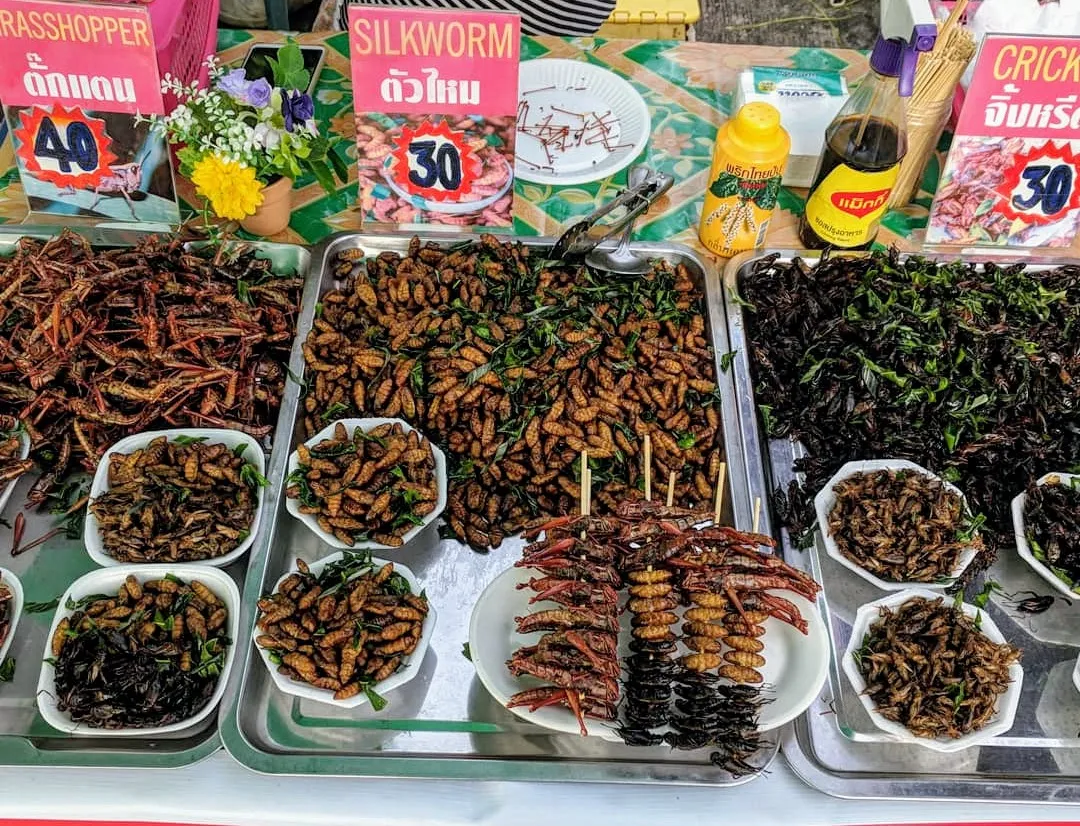 Stand mit Heuschrecken und Mehlwürmern auf Koh Samui