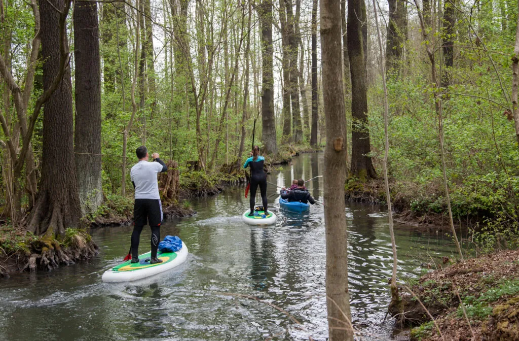 Stand-up-Paddler auf einem Gewässer in der Lausitz