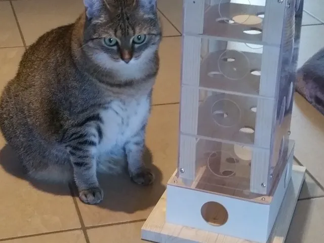 Stella wartet auf die Befüllung des Intelligenzspielzeuges mit Trockenfutter