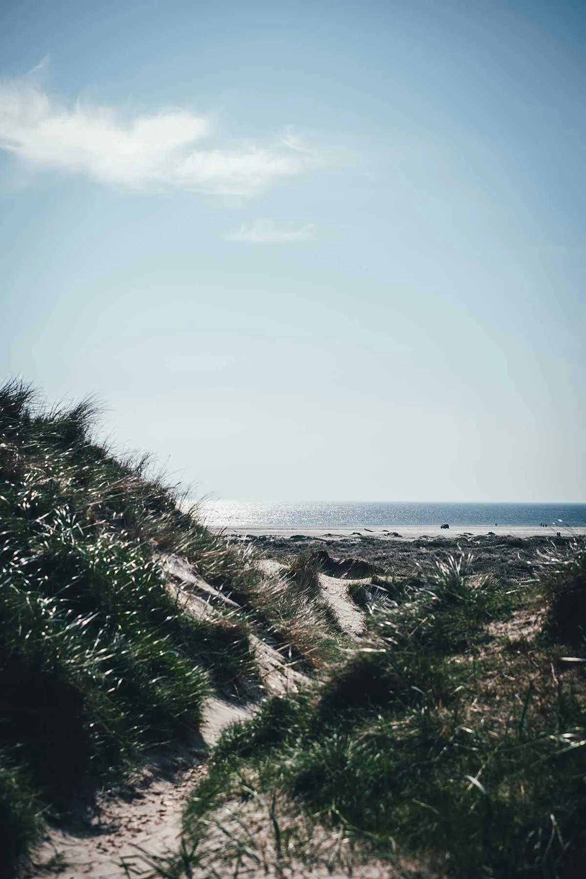 Strand Rindby auf Fanø | moeyskitchen.com