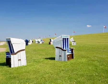 Strandkörbe auf Wiese am Strand