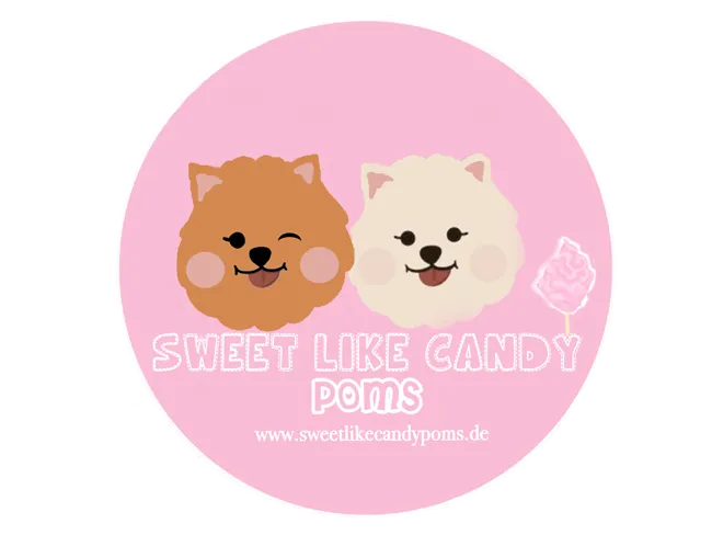Sweet like Candy Pomeranian Zucht