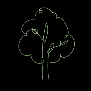 Symbolbild für die Natur und Grünflächen, die zu tiefer Erholung und Entspannung im Klostergarten einladen