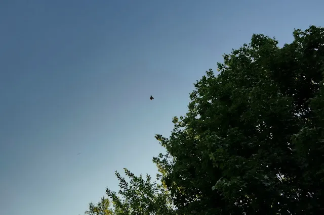 Symbolbild für Trauer und Abschied, z.B. eine Kerze im Dunkeln