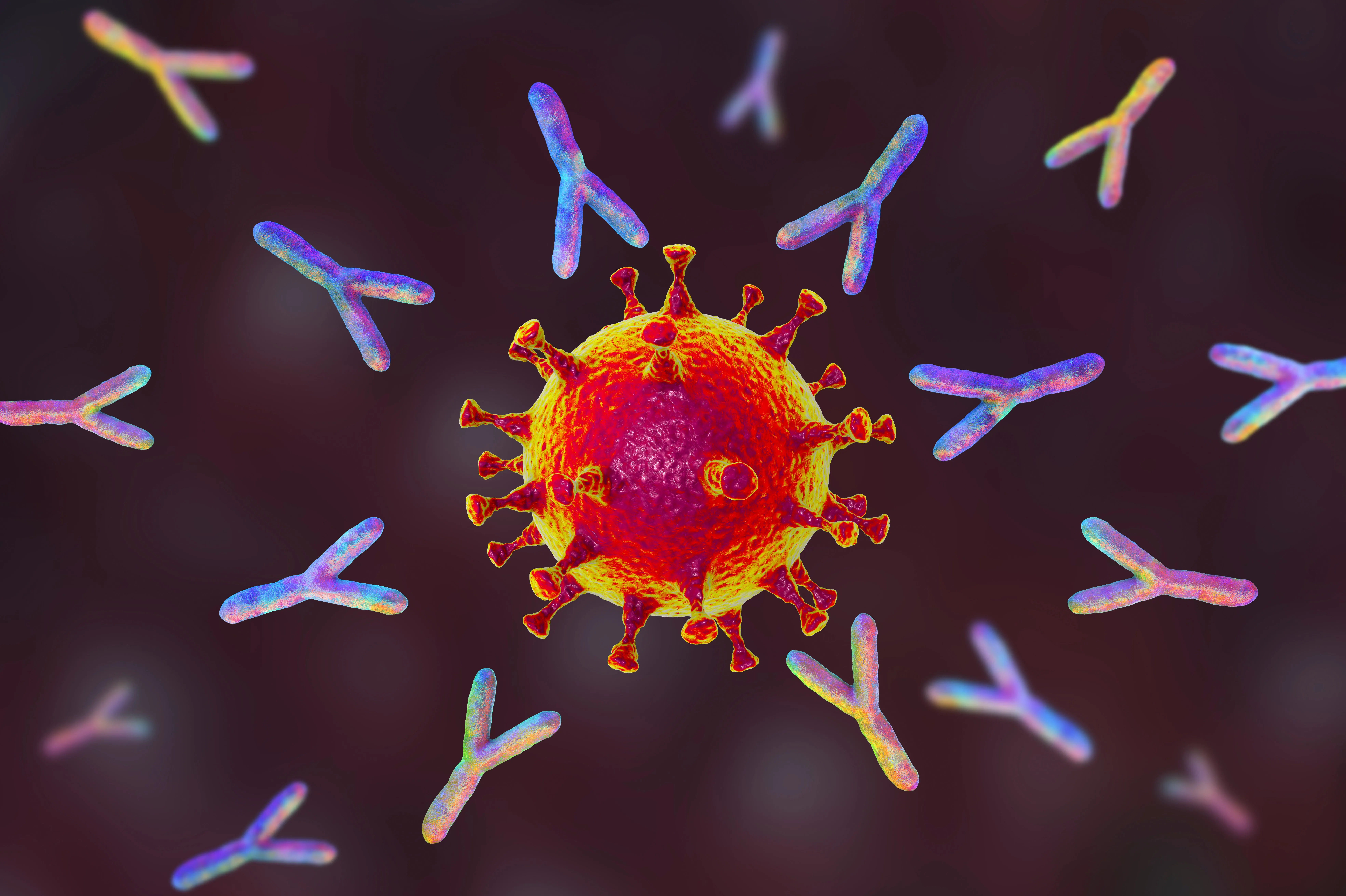 Symbolbild Immunzellen