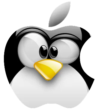 Teams Installation auf Mac