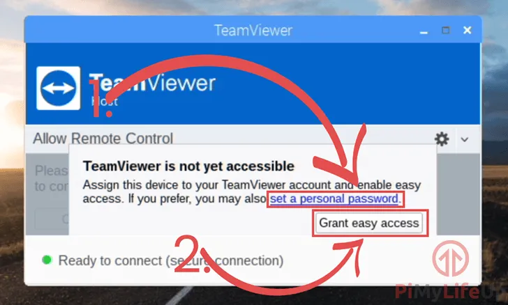 TeamViewer-Host-Anwendung auf Raspberry Pi: Auswahl der Zugriffsoption