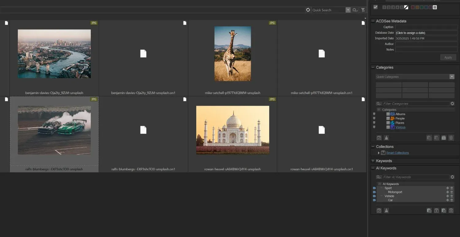 Thumbnails in ACDSee Photo Studio displaying keywords and metadata on the right side